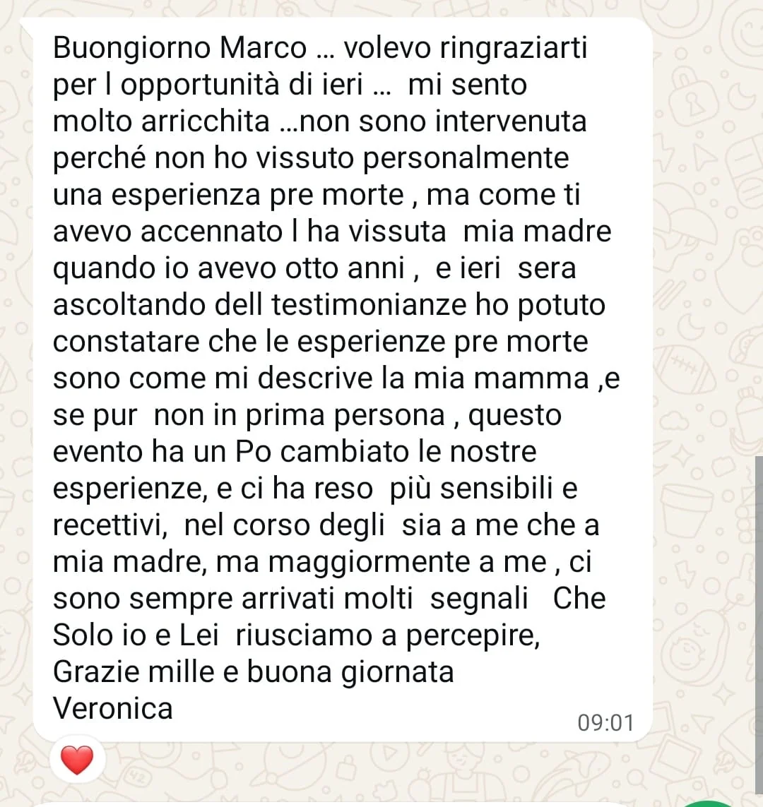Recensione partecipante