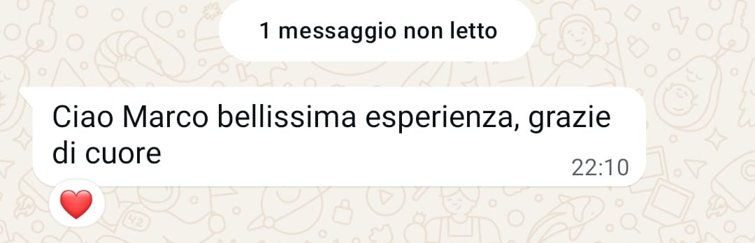 Recensione partecipante