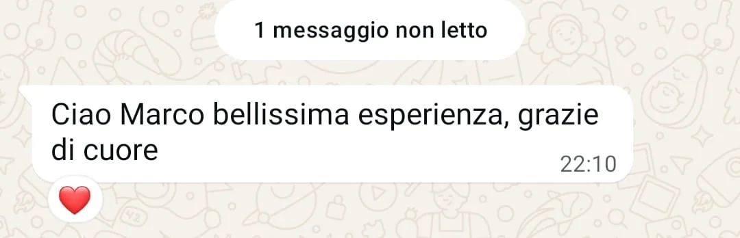 Recensione partecipante